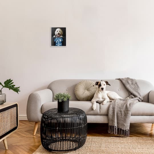 Stupell Industries Funny Dog X-Ray Snacks Framed Giclee Art